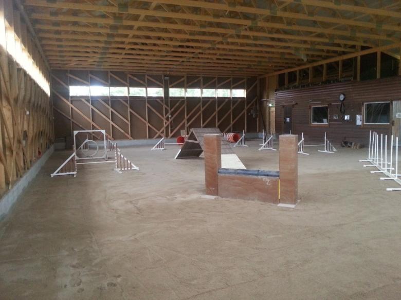 Koirakouluhau, koirahalli